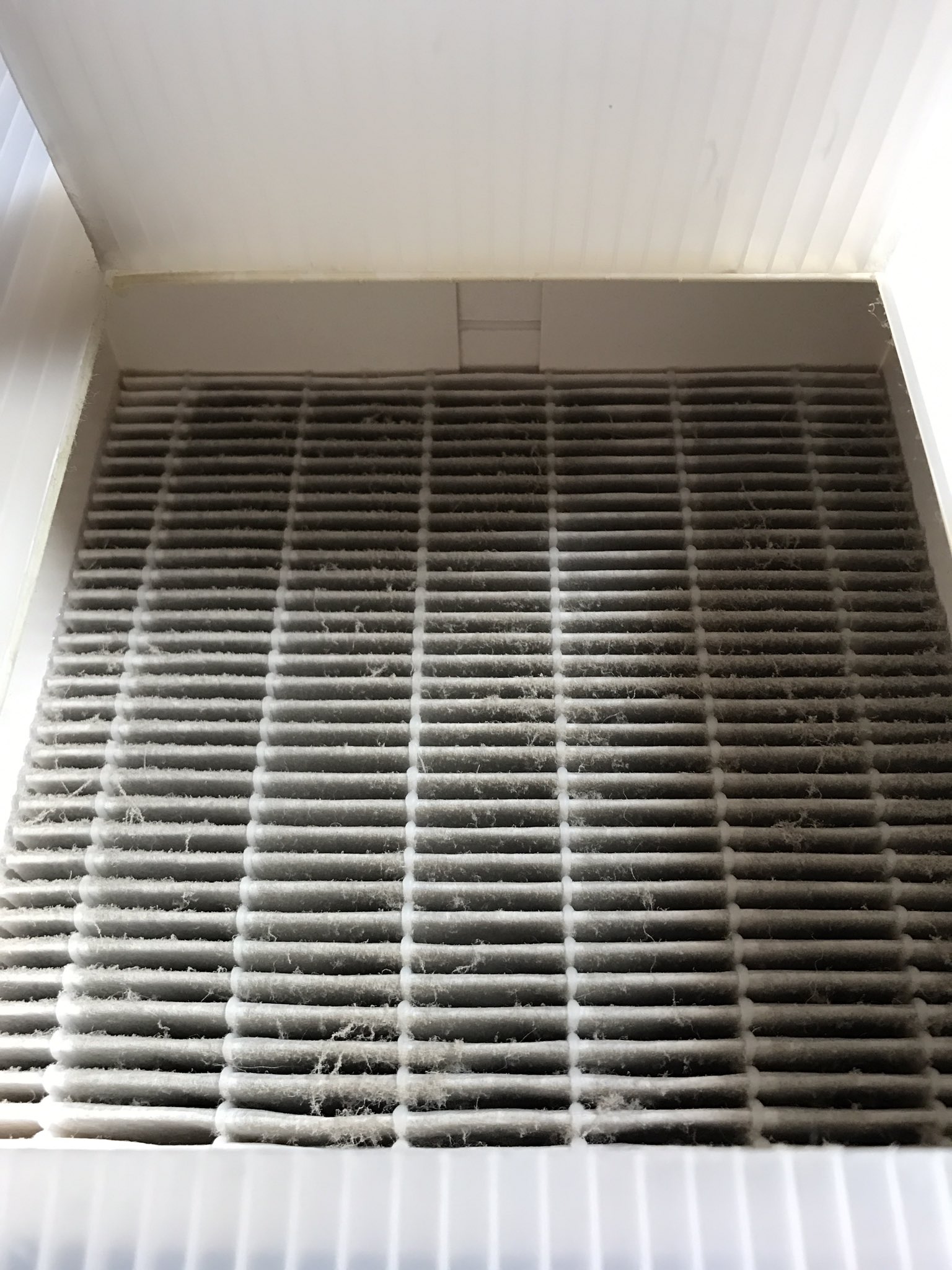 Fbhl 自作の水式空気清浄機 最初はフィルター無しだったけど Cmk2wl さん推奨のフィルター を取り付けて4ヶ月使用したらこうなりました やっぱりフィルターは付けた方が良いと思います このフィルターと水の汚れ具合見たら 水式さんの効果は歴然でしょう