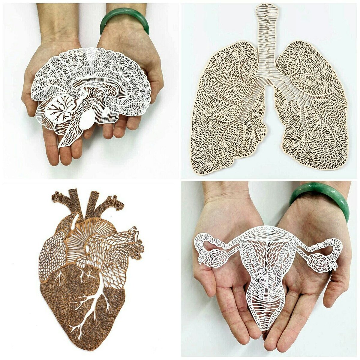 40+ Ali Harrison Background