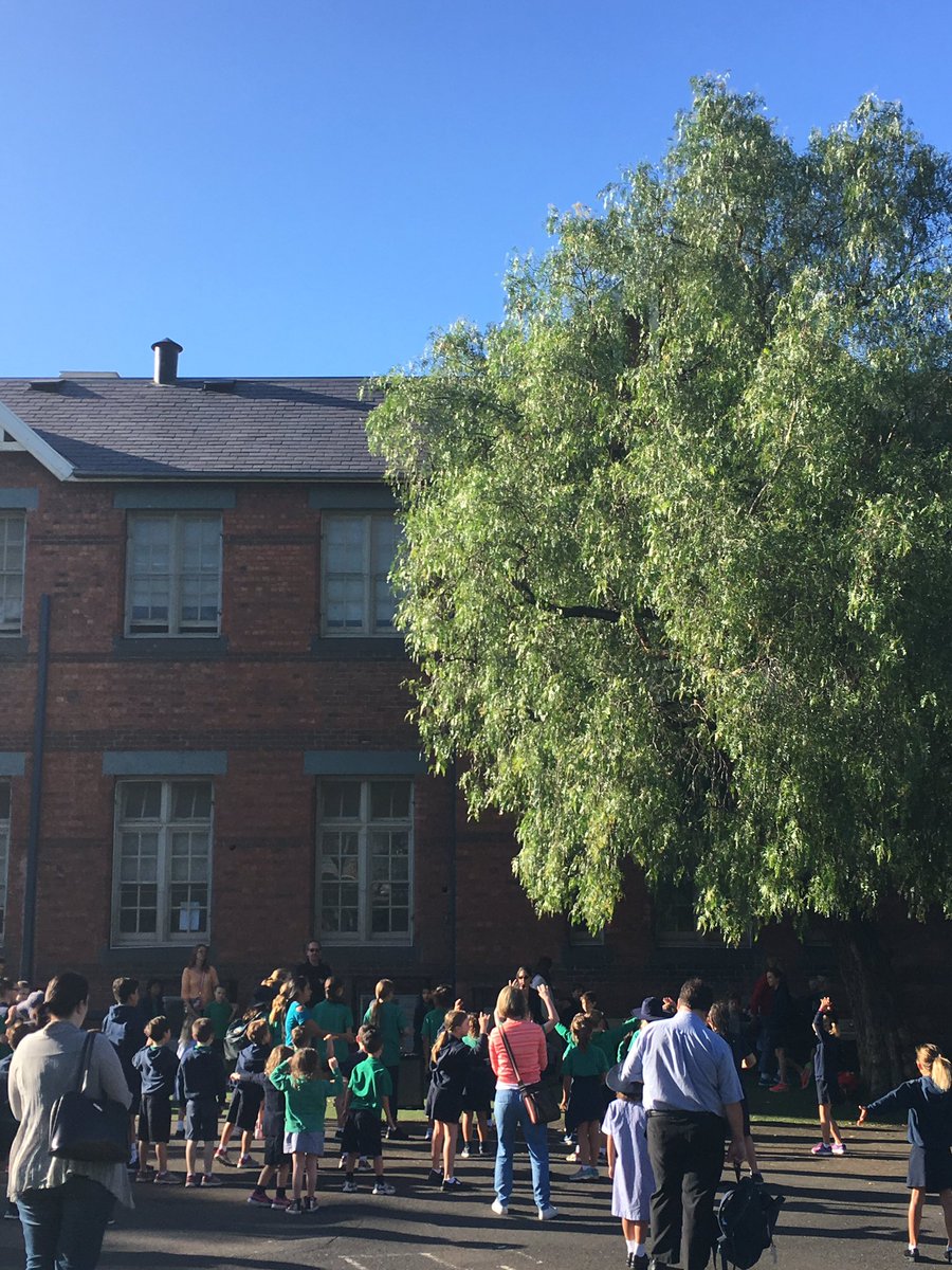 funatapps's tweet photo. "I got that sunshine in my pocket, got that good soul in my feet" @jtimberlake Fine morning for #flashmob #APPSFete https://t.co/QtO26YD93l