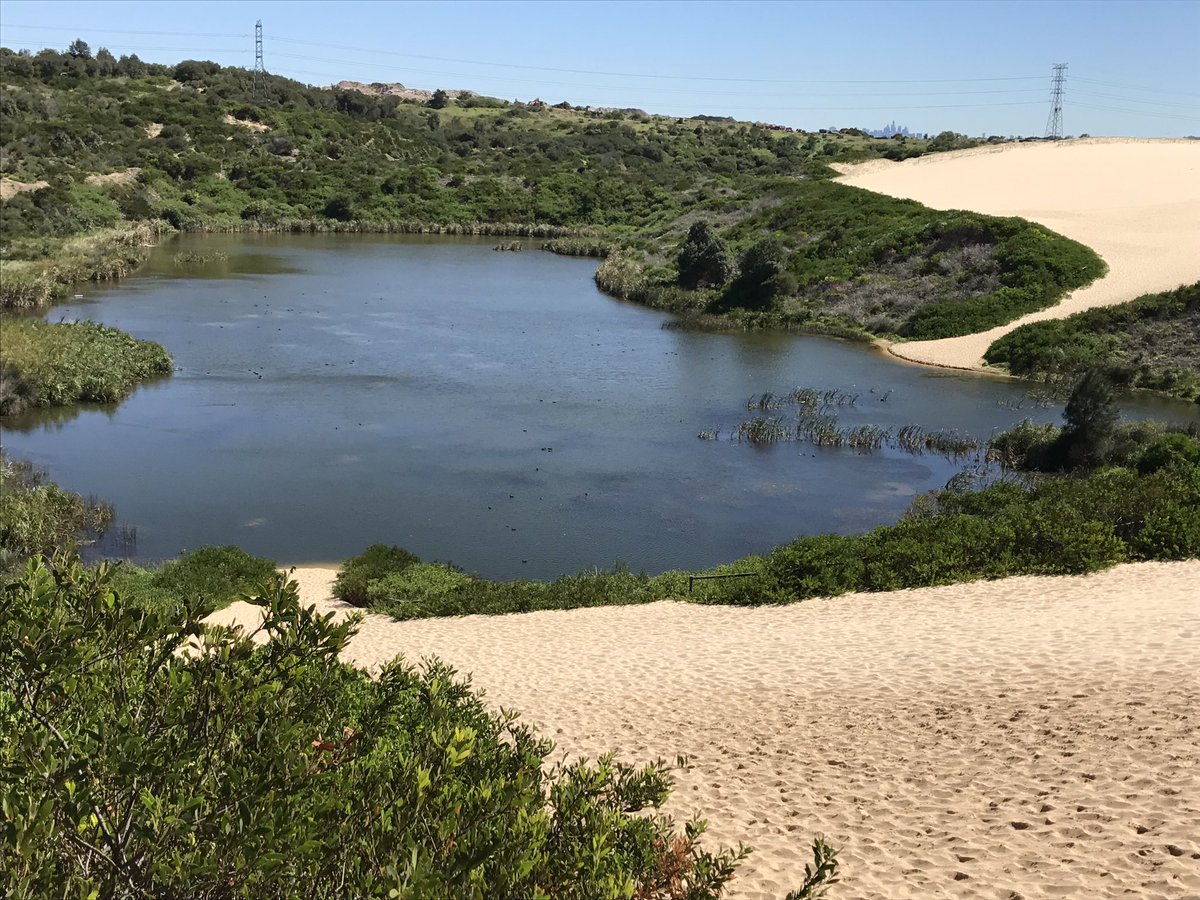 nona80_swanette's tweet image. A different #MorningWalk, well, one I hadn't done for a while anyway. Might have to add it back into the routine. #DifferentChallenges 😀🚶‍♀️