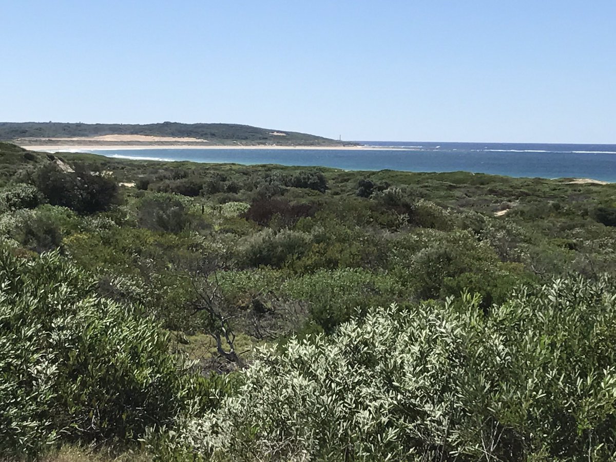 nona80_swanette's tweet image. A different #MorningWalk, well, one I hadn't done for a while anyway. Might have to add it back into the routine. #DifferentChallenges 😀🚶‍♀️