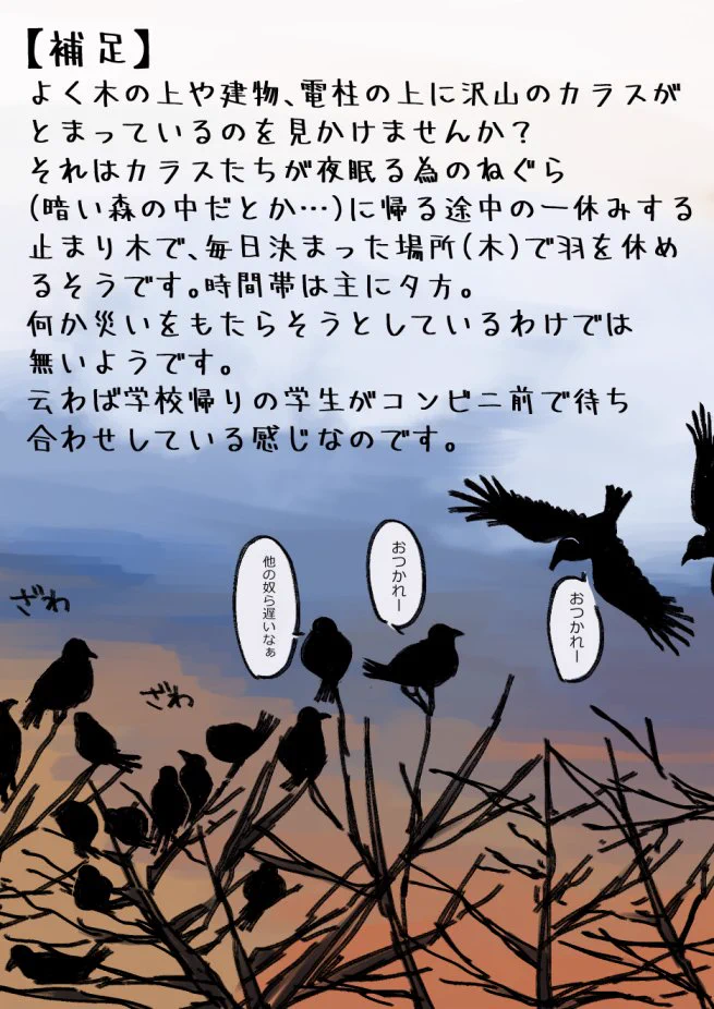 カラスの１日の過ごし方ｗ不気味なイメージだったけど可愛いｗｗｗ