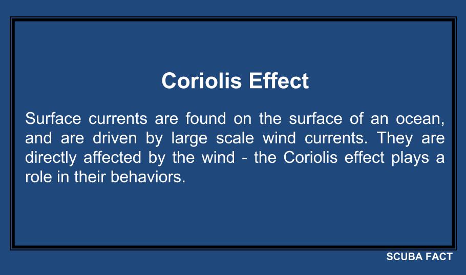 SCUBA Fact tweet media