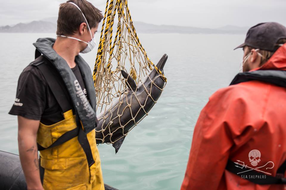 Blue Planet Society tweet media