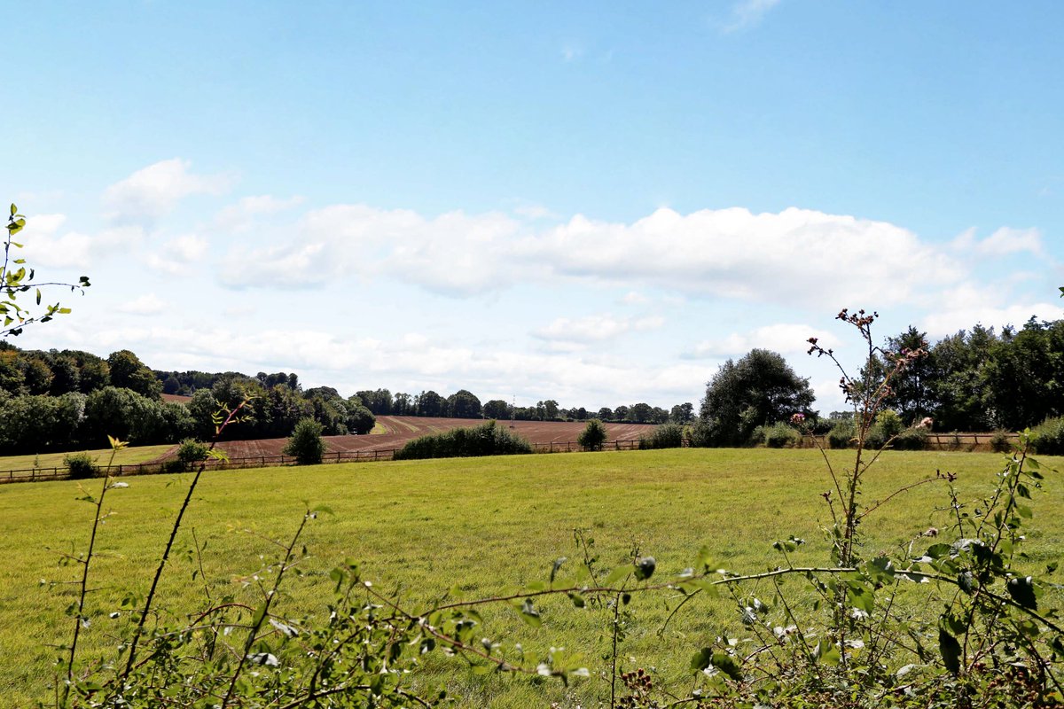 KFBasingstoke's tweet image. Swap your London flat for Hazelwood, quietly situated backing onto farmland in #PowntleyCopse #Alton for £1,150,000 bit.ly/2lhl5rz