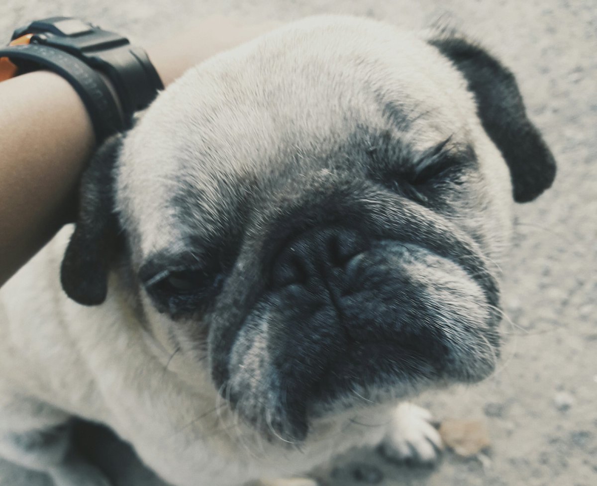 ตัวเอง!!! เค้าหิวข้าวอ่าาา
#แคปชั่นเด็ด #แคปชั่นตลก #แคปชั่นฮาๆ #แคปชั่นเด็ดแคปให้ด้วย #แคปชั่น