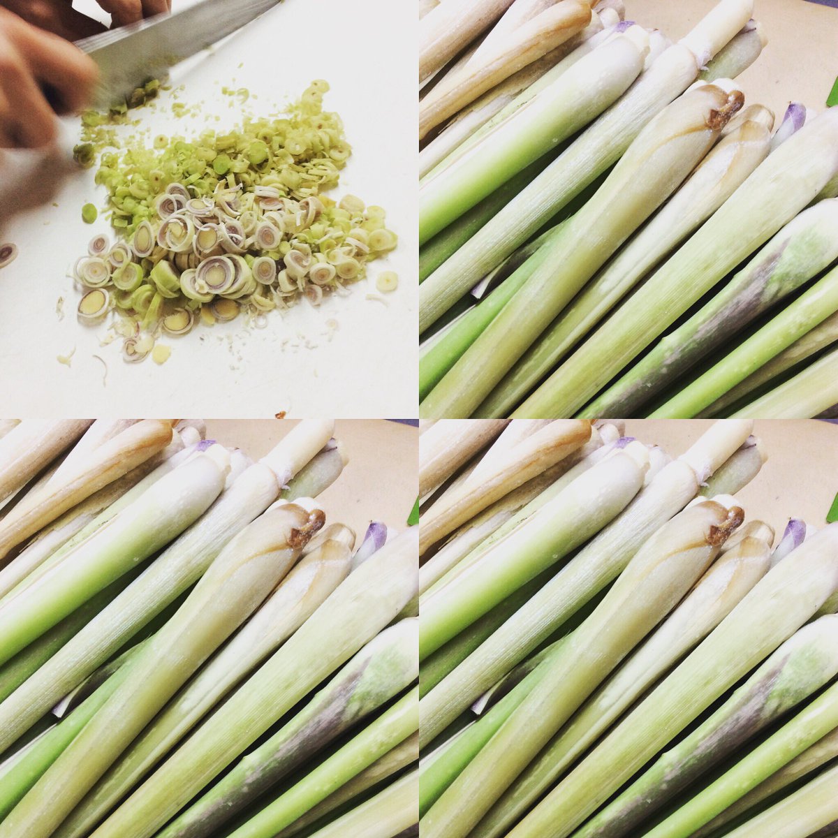 Saigon Kamimachi No Twitter 自社栽培レモングラス レモングラスを使用した 温かいスープや レモングラスの入った サテ という辛い調味料を使用した フォーなど 寒い日には 身体の芯から温まるお料理で お待ちしております サイゴン 上町 世田谷