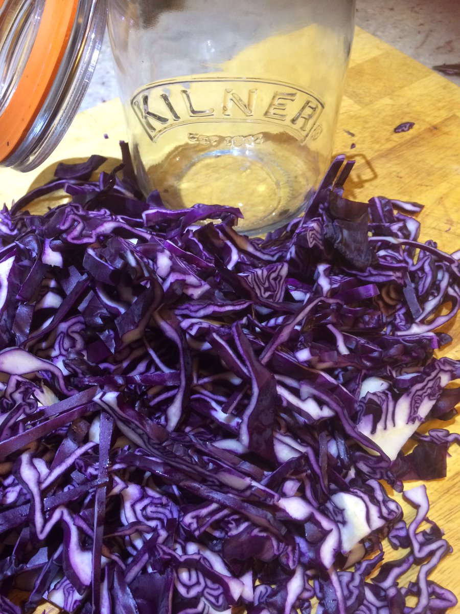 recipetrees's tweet photo. Recipe trees experiment in fermentation #Sauerkraut https://t.co/gt7Gxsy5zr