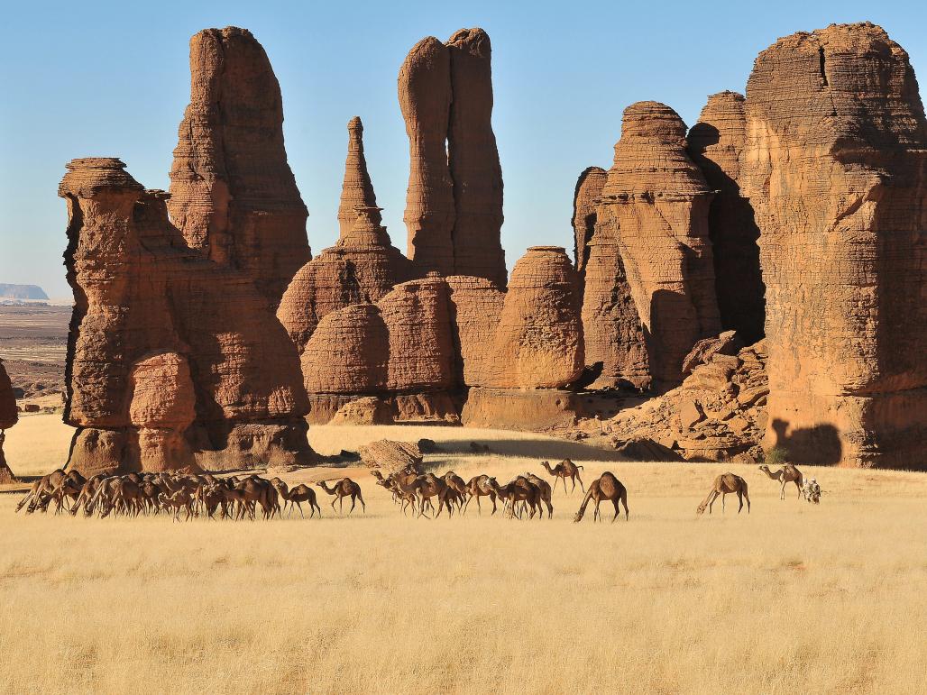TheEconomist's tweet photo. .@1843mag travels to Chad to witness attempts to preserve the last evidence of a lost civilisation https://t.co/OFv0k016sa https://t.co/gKzV9cCenT