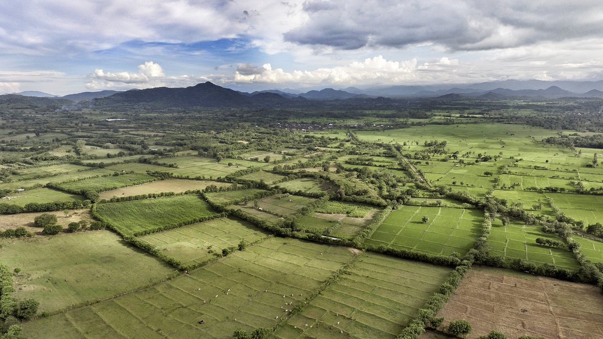 HarryOdek's tweet photo. Pemandangan dari Bukit Olat Cabe, Songkar, #Sumbawa
@JelajahSumbawa @infosumbawa https://t.co/Lxd5ggrQyG