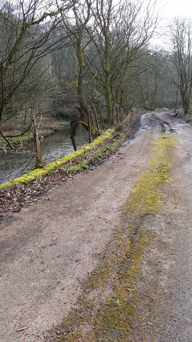 EltonElectrical's tweet photo. @GavinBarwellMP release Green Belt, 1 site Rawtenstall LPA deem as Gren Belt, you explain it! Appendix 4 blended into landscape Etc Etc https://t.co/CobylERcy6