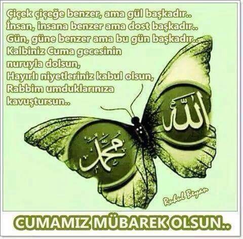 Murat Çelik (@muratertugrul27) on Twitter photo 