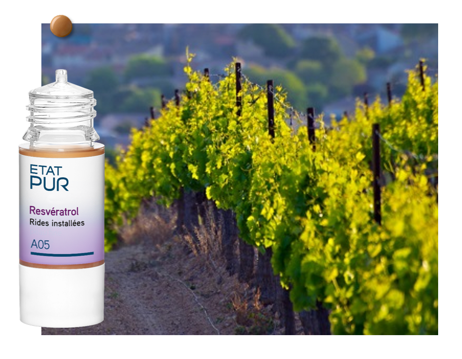 EtatPur's tweet photo. Préservez la #Jeunesse de votre peau avec l'Actif Pur #Resvératrol : le plus français des anti-oxydants ! https://t.co/40dGEu9sgw https://t.co/55gj2FjIWn