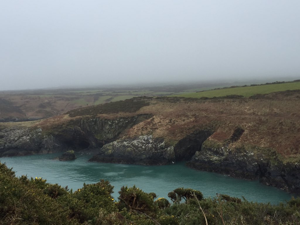 HillierWend's tweet photo. Anyway.. #breezybracing #cobwebblowing #strumblestroll & unscheduled #geologylesson for me & 2 attentive seals ๐courtesy of @RobhillierRob โ
https://t.co/zRZJOEUPGb