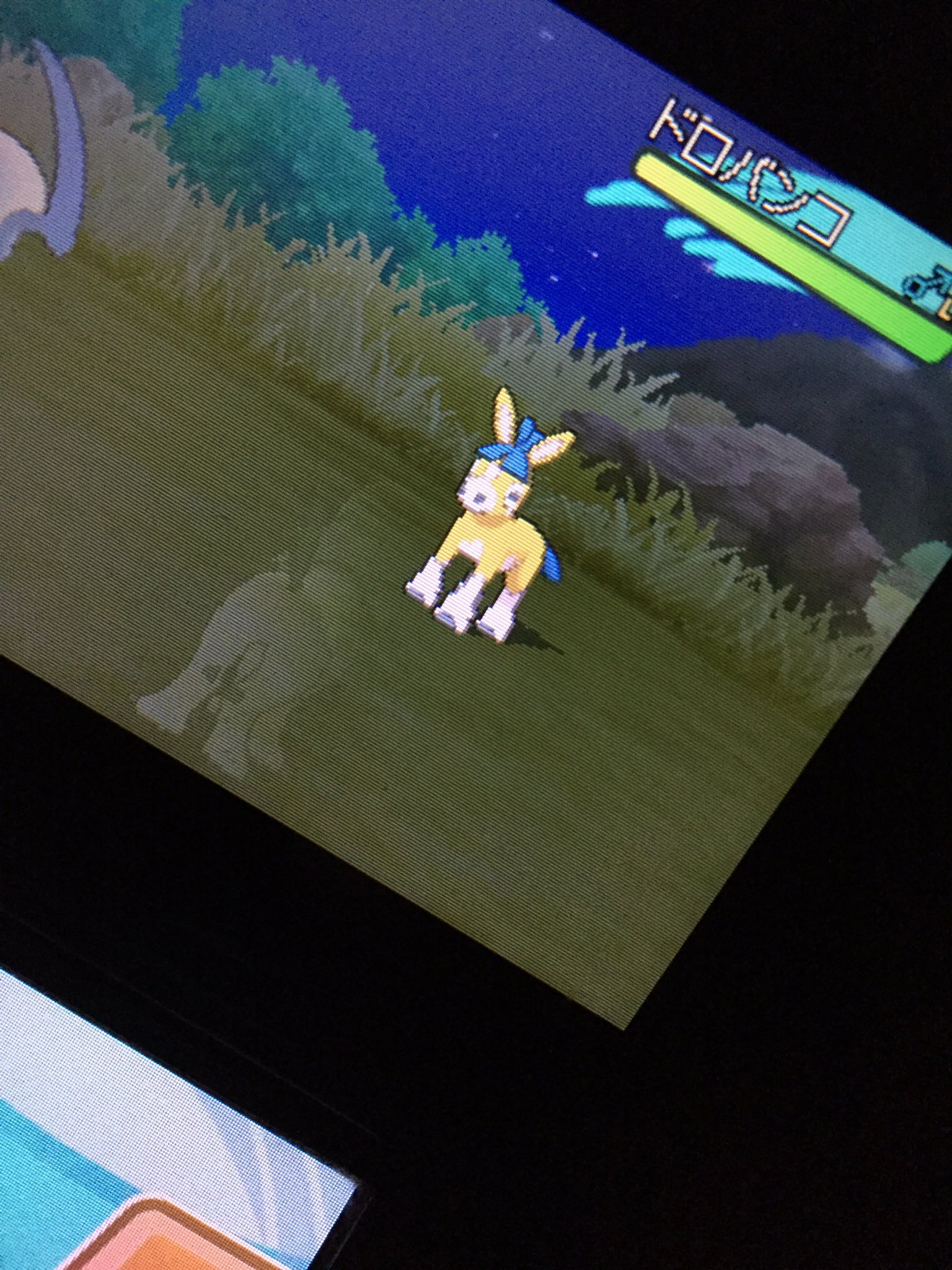 K S ポケモンサンムーン Ks Pokemon10 Twitter