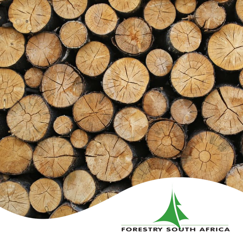 Forestry SA tweet media