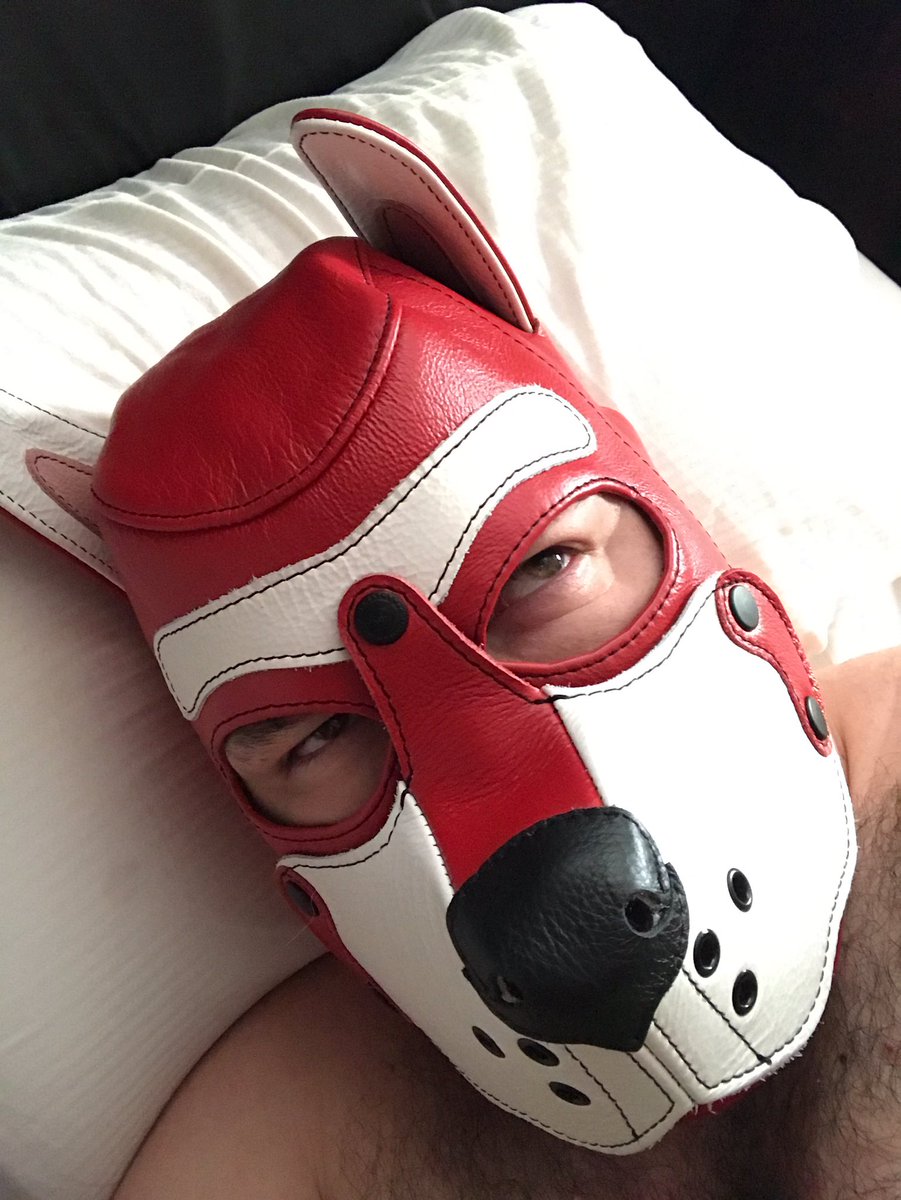 CooperGShep's tweet photo. *grumble* 5 more minutes..... *hides* https://t.co/pSpt168GLk