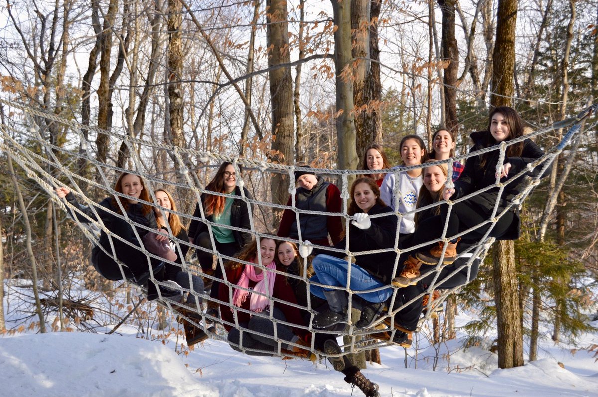 DPhiE NU tweet media