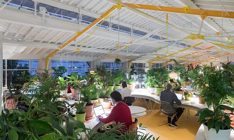 iomando's tweet photo. El #coworking con más plantas del mundo
https://t.co/OvVeAPsoEF vía @OVACEN https://t.co/iylYqBEu7M
