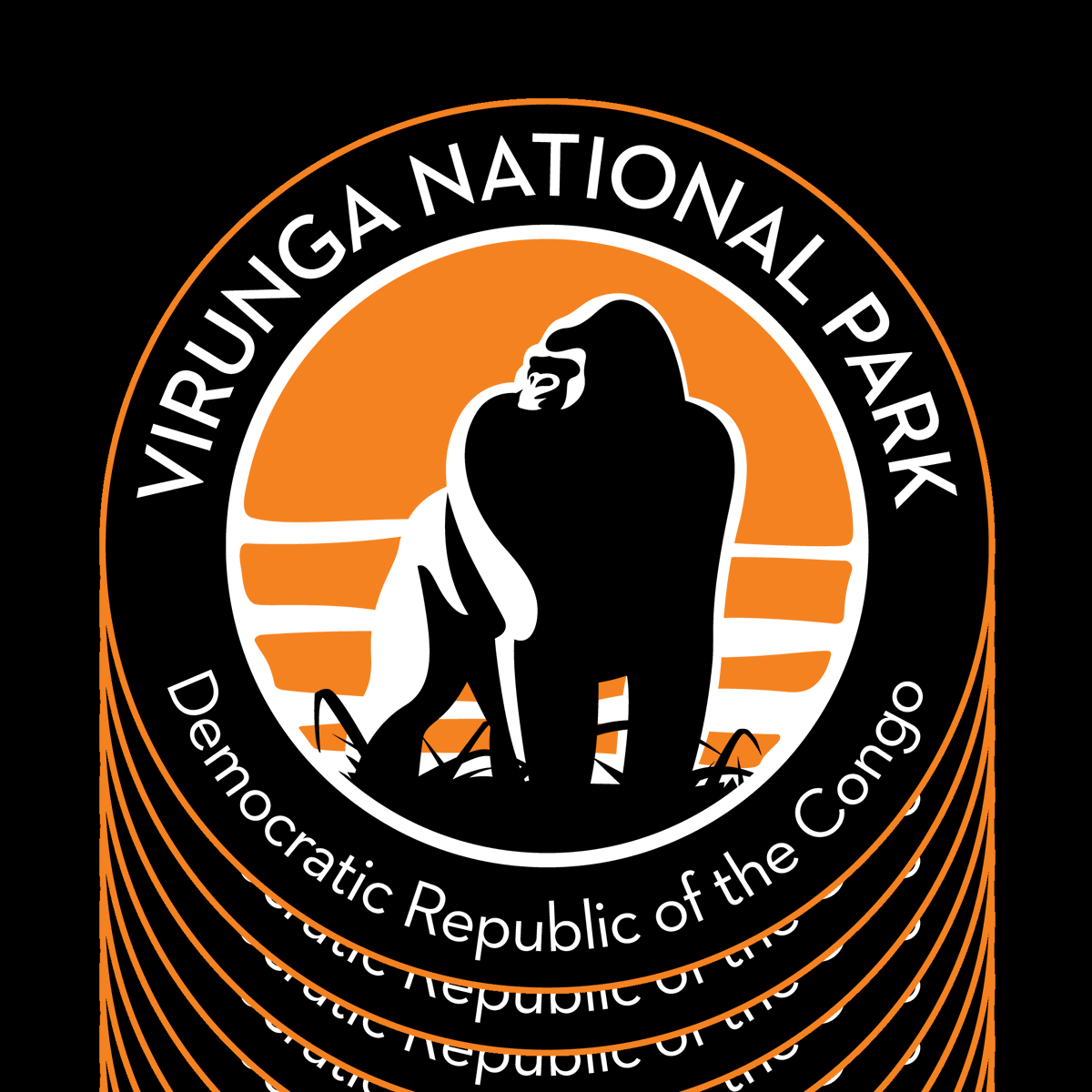 jamiek_jones's tweet photo. Brilliant work @G4G_Gorillas #Gorilla #VirungaNationalPark #DemocraticRepublicOfTheCongo #HelpTheRangers #GreatApe https://t.co/uDRzPE6NOL