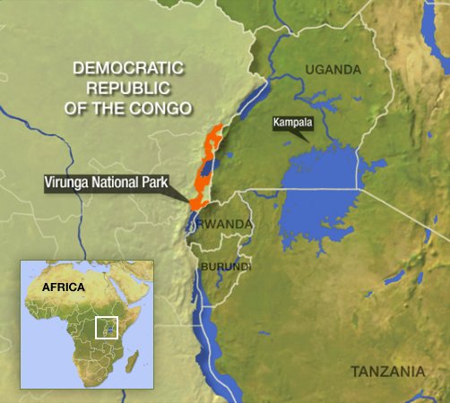 jamiek_jones's tweet photo. Brilliant work @G4G_Gorillas #Gorilla #VirungaNationalPark #DemocraticRepublicOfTheCongo #HelpTheRangers #GreatApe https://t.co/uDRzPE6NOL