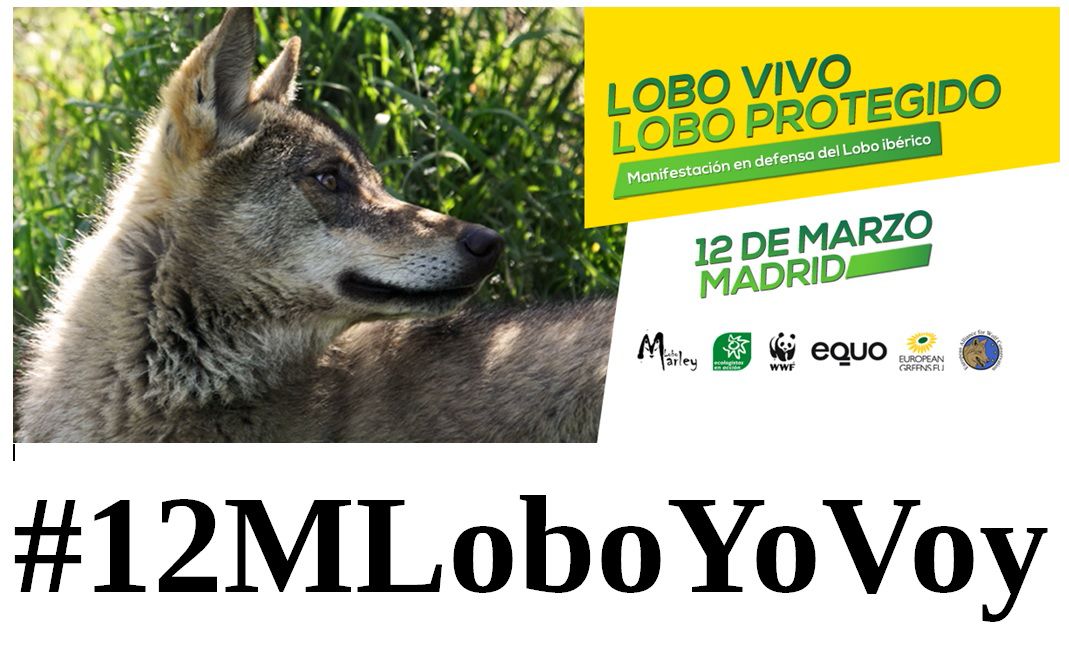 podemos_b's tweet photo. #12MLoboYoVoy @equomunera @EQUOBarbanza @equogetafe https://t.co/SULFtOnNs3