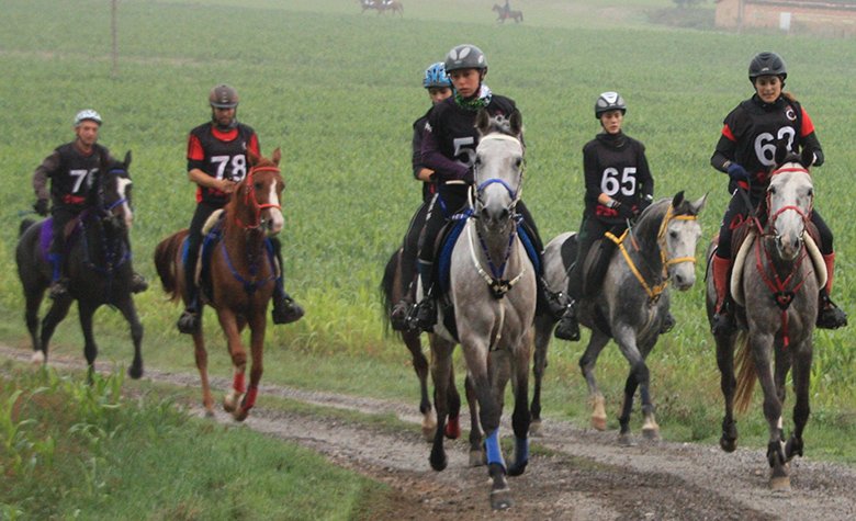 .<a href="/endurance_lab/">EnduranceLab</a> abre una convocatoria para empresas ecuestres bit.ly/2lHjnAM