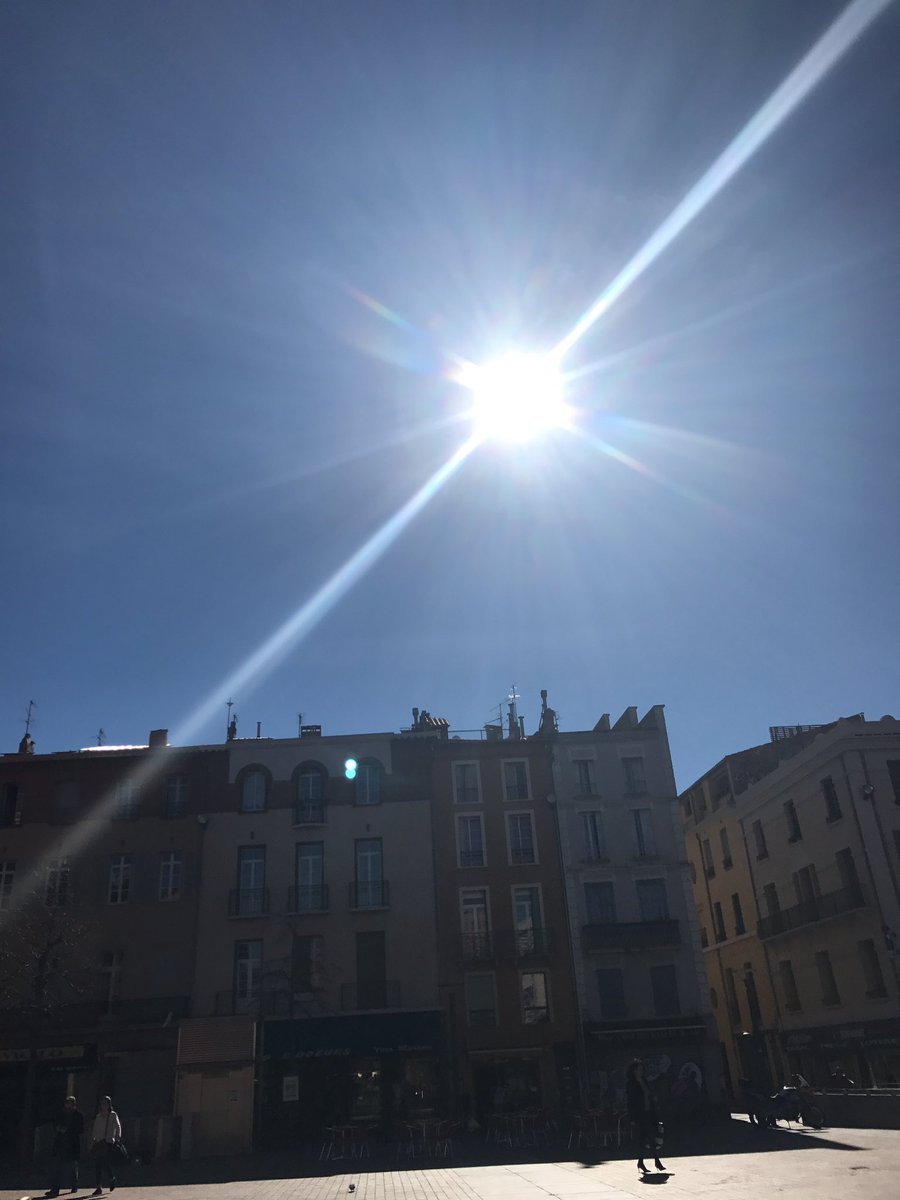 HASSAN_MONKEY's tweet photo. Plein soleil dans mon zoo #PlaceRep #Prpz https://t.co/FuzPXMcwjt