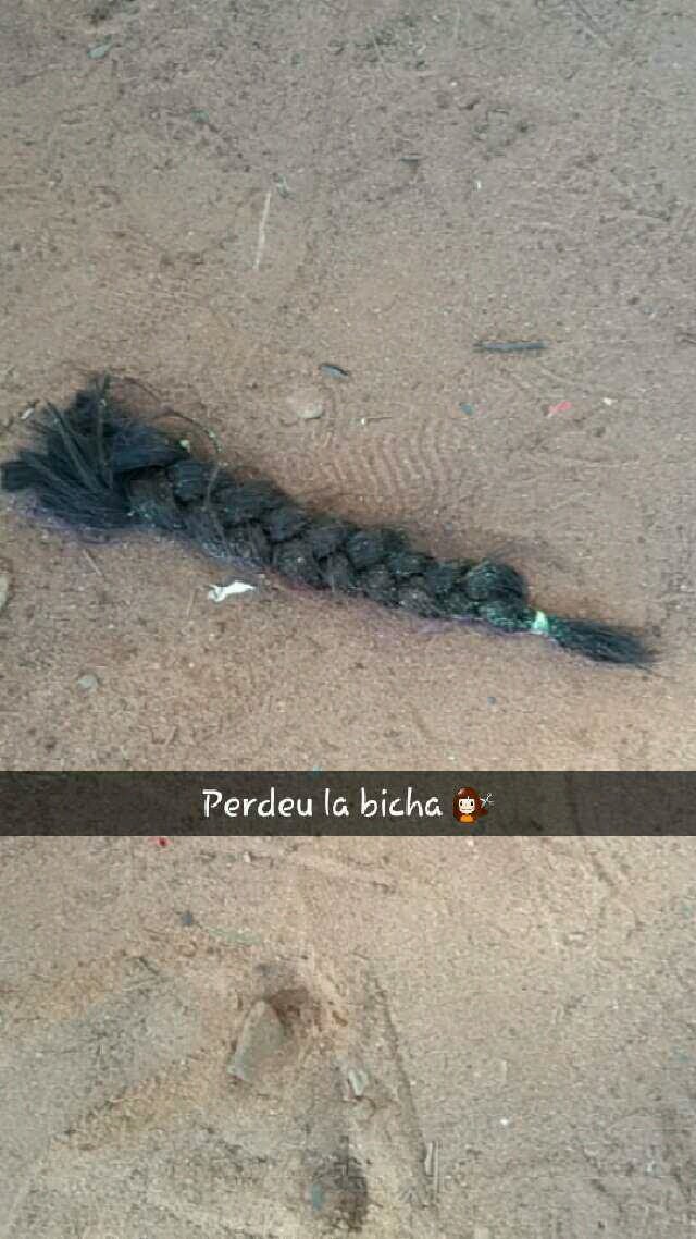 nutripadrinos17's tweet photo. Lo que dejó @sofiescobar de recuerdo 💇😻 https://t.co/IU1yZfmy0m