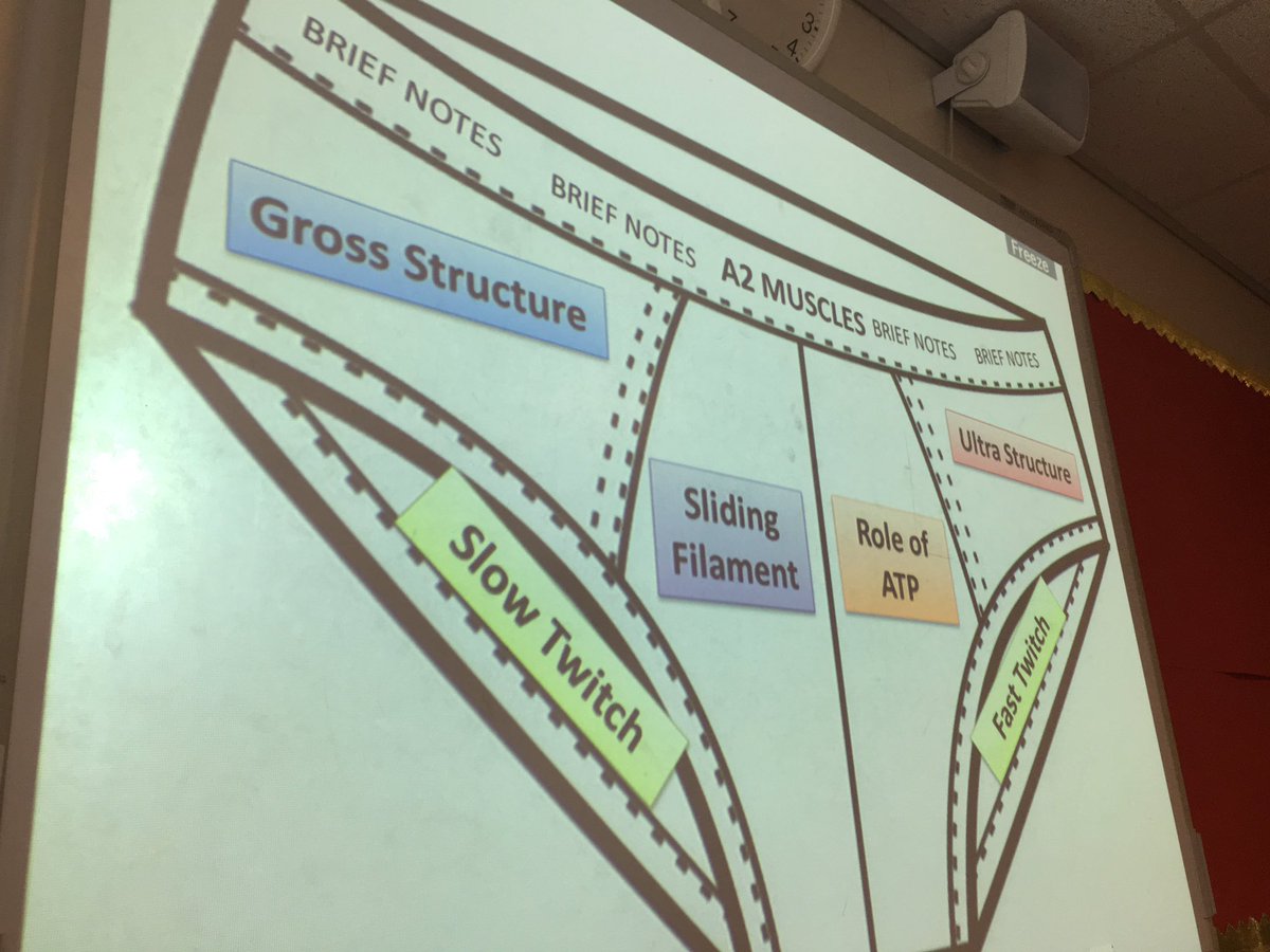 ScienceSW's tweet photo. Yr13 have been summarising the Muscles topic on to pants! #briefnotes 👙 https://t.co/1hqmfXAvKH