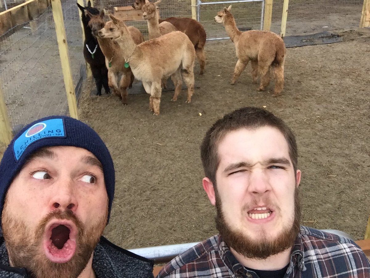 footinwithrpg's tweet photo. #ShareFun - Learning the hum language of the Alpaca with cousin Amish Sam. Love, RPG https://t.co/R4c0nQWBZ7