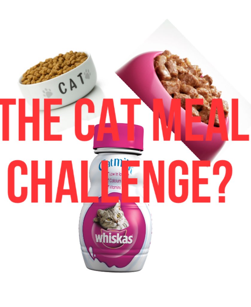 Challenge_Video's tweet photo. Cat meal challenge! Like the cat food challenge but BETTER!! Check it out you won't be disappointed!! #YouTube
https://t.co/zWfC1rToZM https://t.co/7sTaGMdYVh