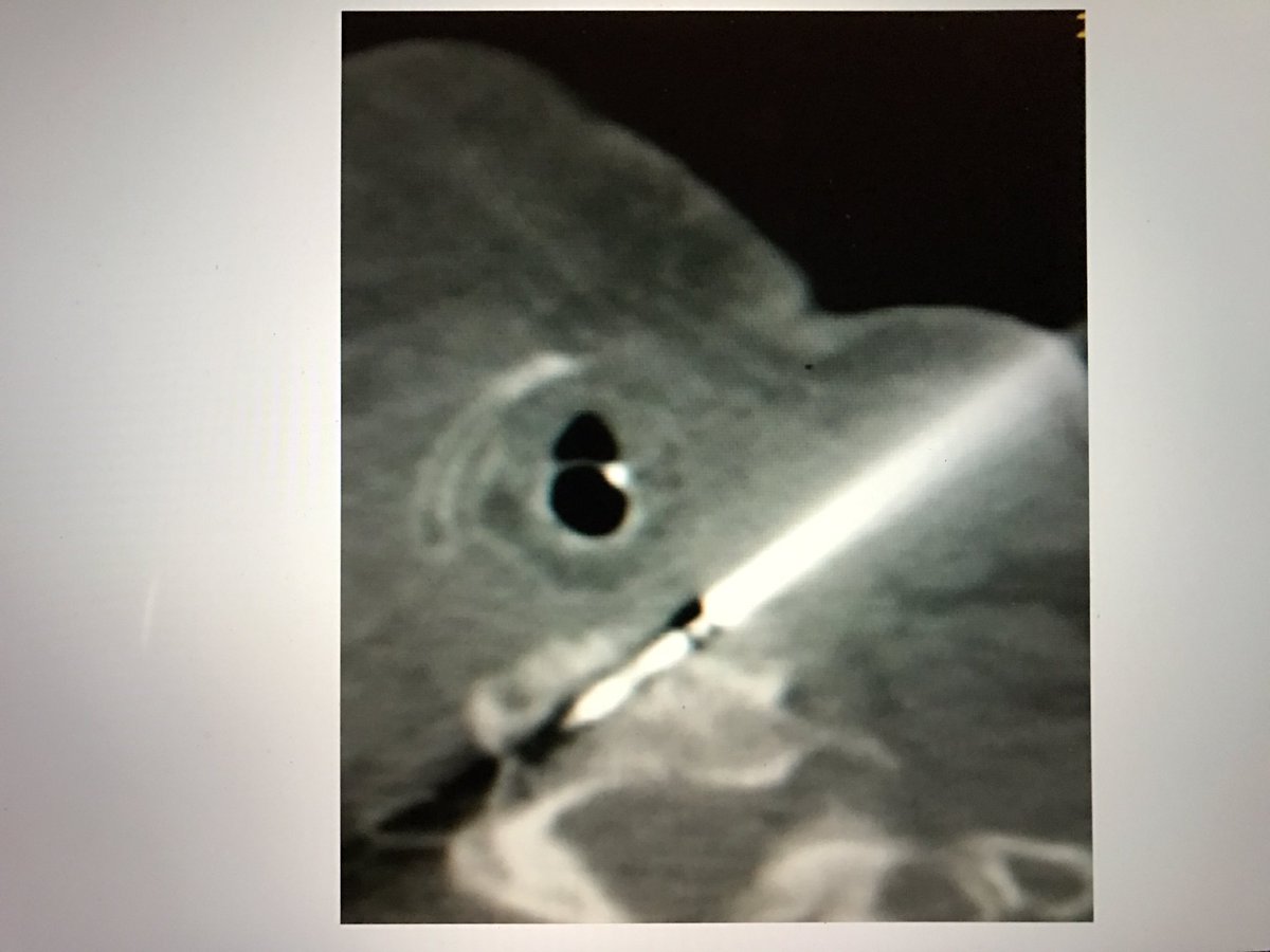 Roger Williams_IR tweet media