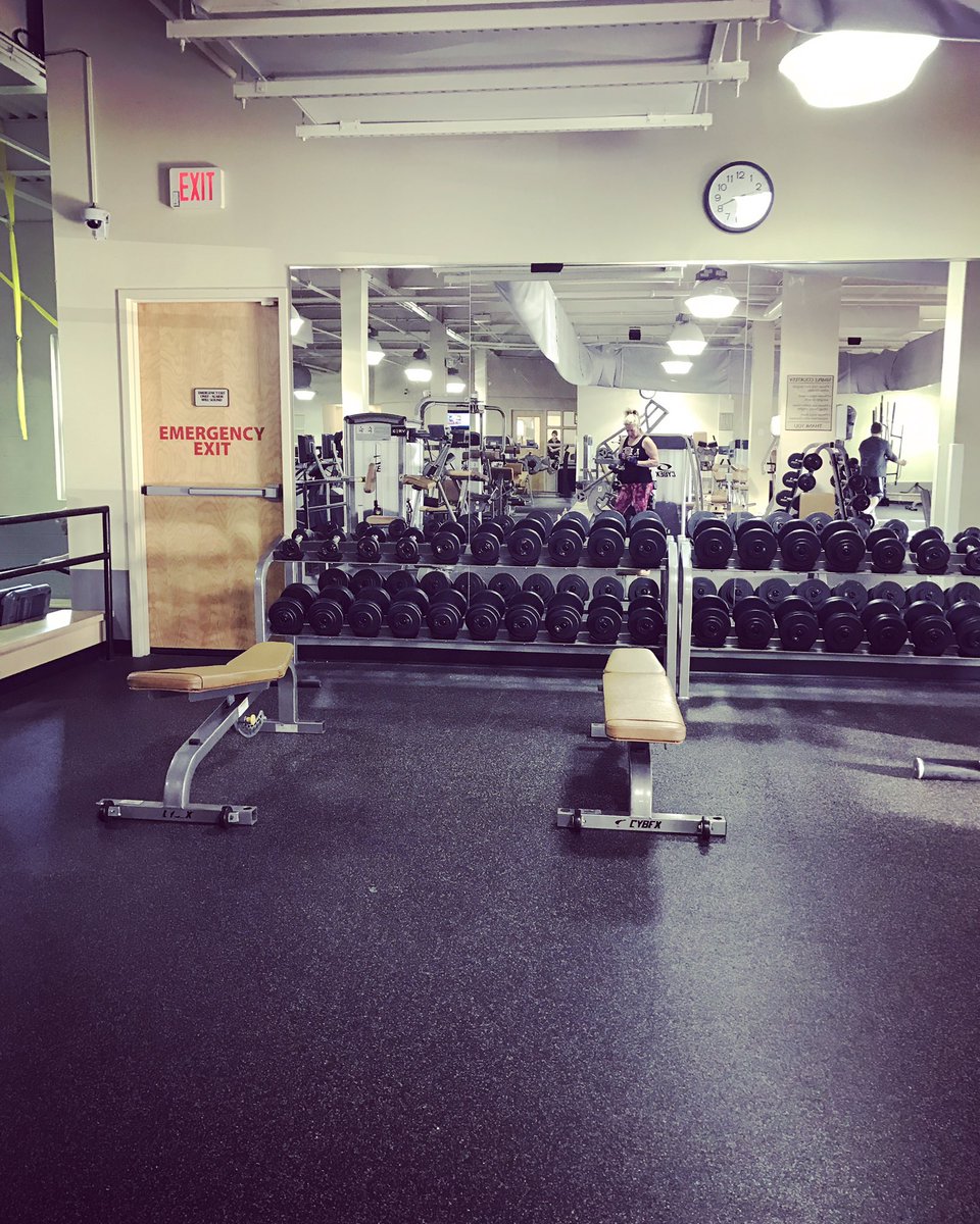 afinekimmie's tweet photo. #Armday #workout #Motivation #gym #sunmerscoming #happiness https://t.co/rwbpN2Kzmu