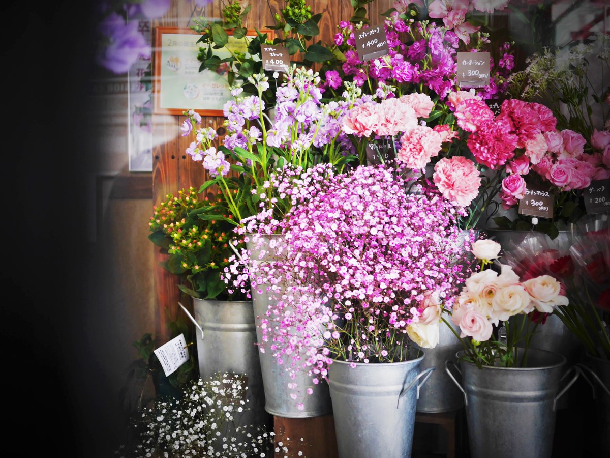 pm_kirua's tweet image. #photography #coregraphy #springsoon