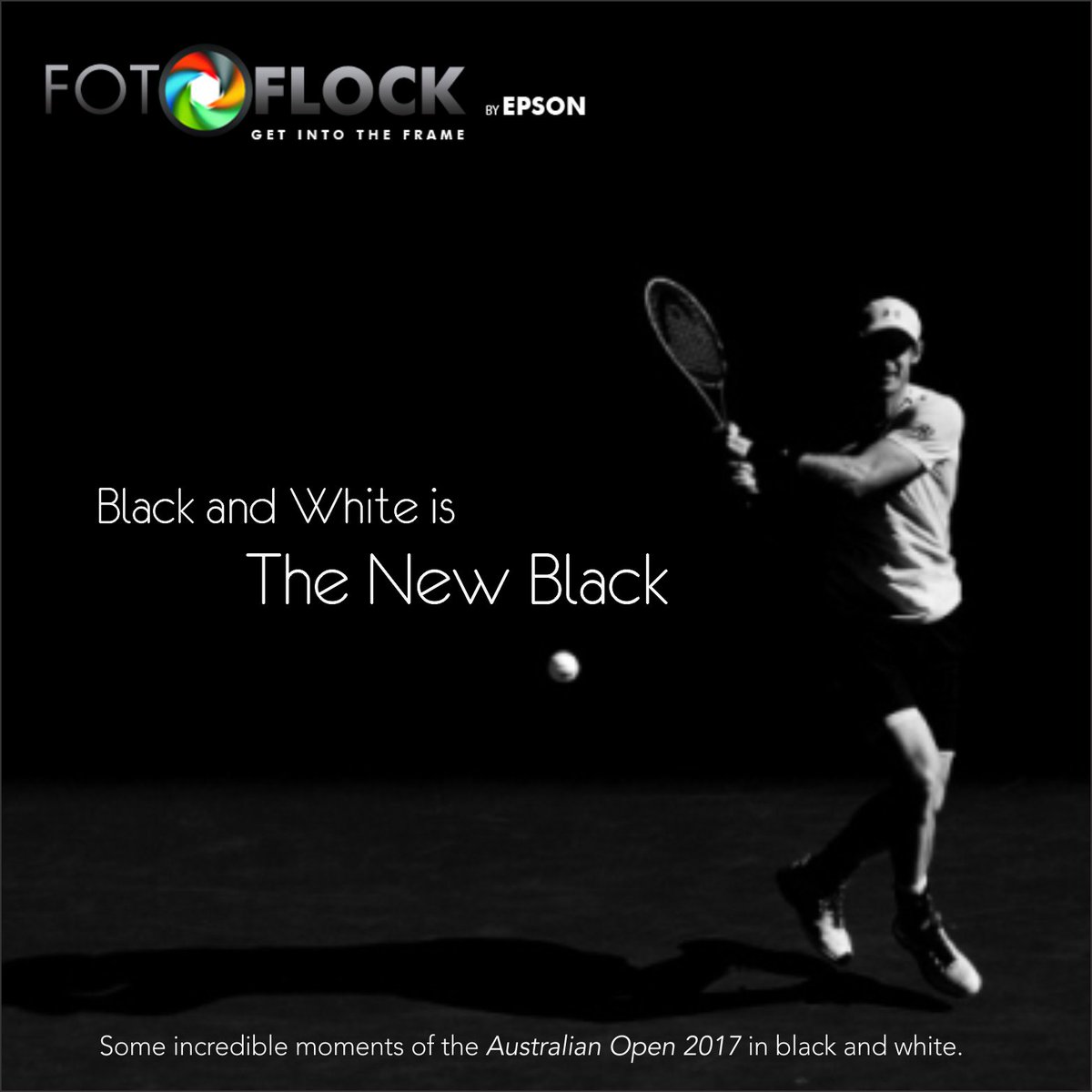Fotoflock by Epson tweet media