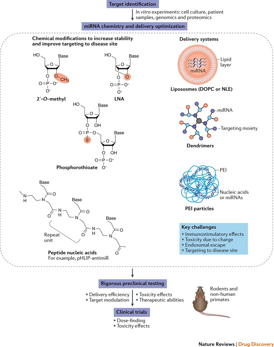 NatRevDrugDisc's tweet photo. MicroRNA therapeutics: towards a new era for the management of cancer and other diseases https://t.co/TBcdZKKzeN https://t.co/fR0yjA1dly https://t.co/t3mNDZKuo2
