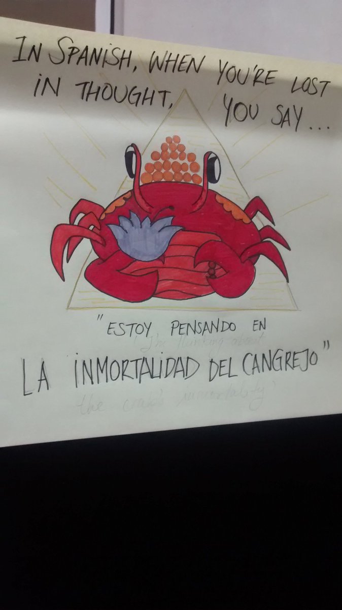 superlinguo's tweet image. People sharing metaphors in their languages at @SOAS #LanguageFest for #MotherLanguageDay