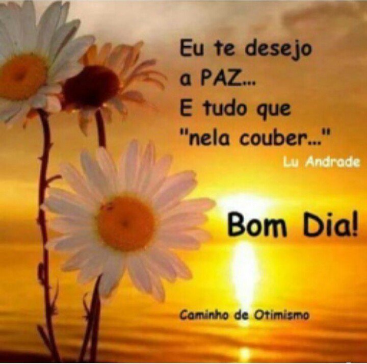 RaquelBarbosaa's tweet photo. https://t.co/5Vf2jRZyWo