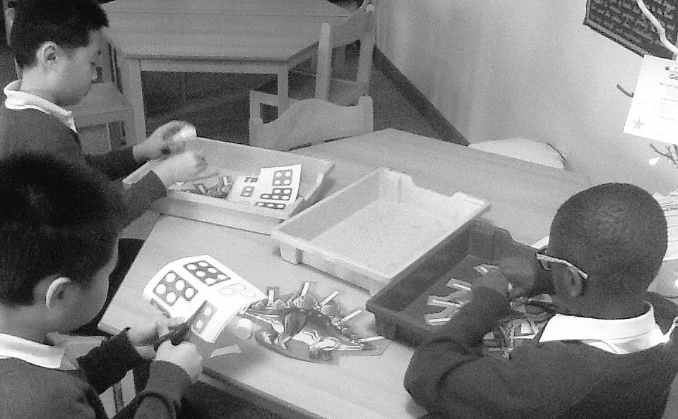 The Harbour tweet media