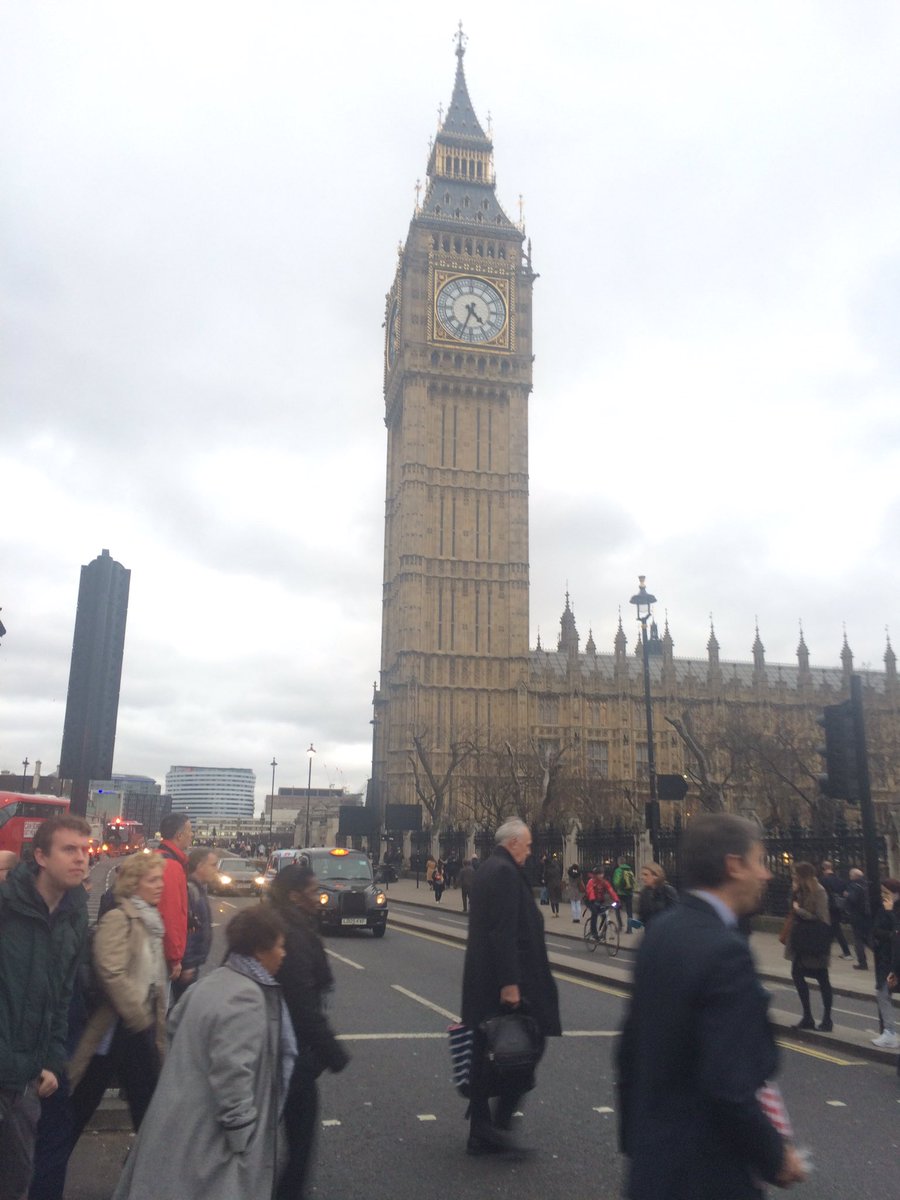DriverTrust's tweet photo. Very happy to be at #Parliament attending #APPGSLD looking forward to hearing more about @RCSLT's #SENDreport https://t.co/SSqrOkHB99