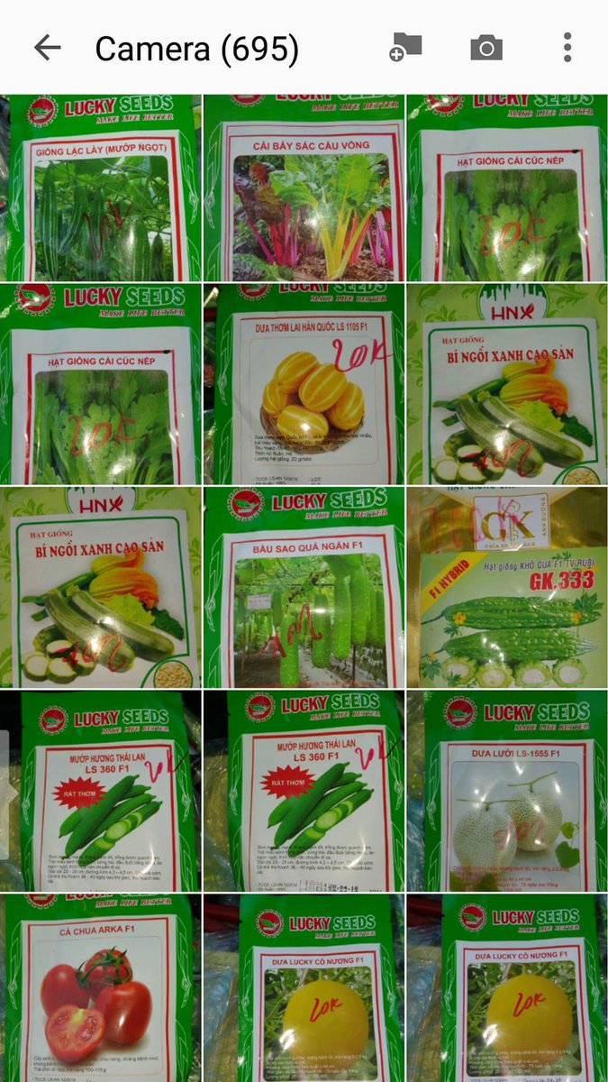 phamvanhung868's tweet photo. Hạt giống các loại +0840979054076==0943054076 https://t.co/AqWgmlewEU