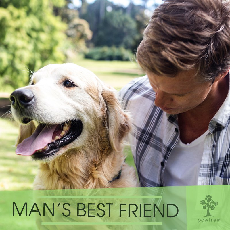 multibra.in/897qv

Your best friend deserves nothing but the best. Feed Pawtree.