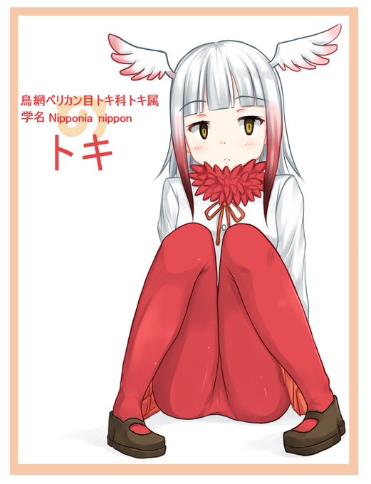 トキのtwitterイラスト検索結果 トキのtwitterイラスト検索結果