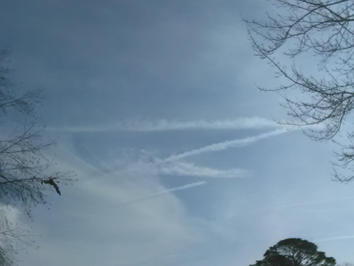 Look guys, zorro flew by.