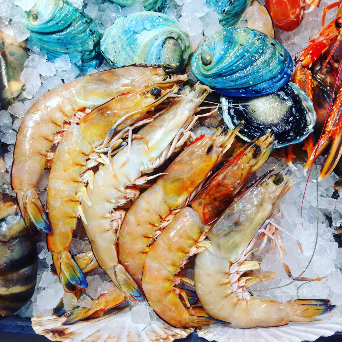 Wild Australian spencer gulf prawns bloody delicious <a href="/SelfridgesFood/">Selfridges Food</a> <a href="/SGkingprawns/">SpncrGulf KingPrawns</a> 🍤🍤