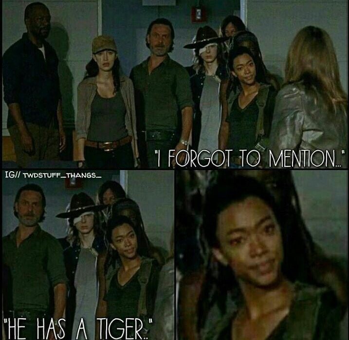 I hope you like TWD @NiaCabello
