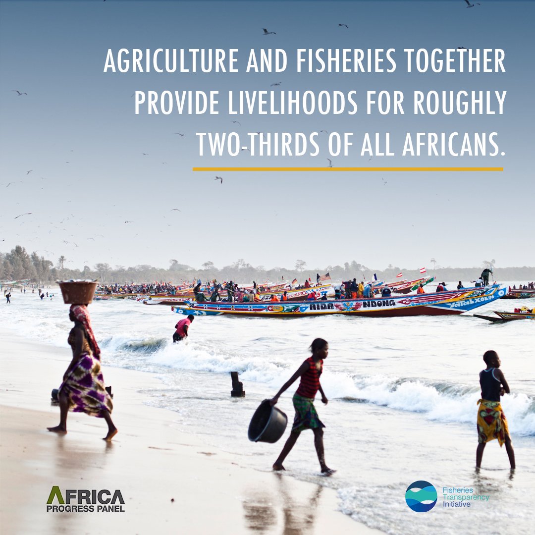 africaprogress's tweet photo. #DidYouKnow- Agriculture and fisheries together provide livelihoods for roughly two-thirds of all Africans. https://t.co/vGljgQgfoR