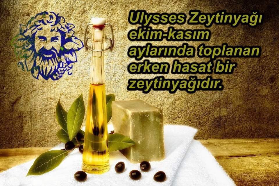 ulysseszeytin's tweet photo. Bu twiti RT eden bir kişiye 2 litre zeytinyağı hediye edeceğiz. Çekiliş tarihi: 1 Mart 🎁 https://t.co/2QJOY9n3gW