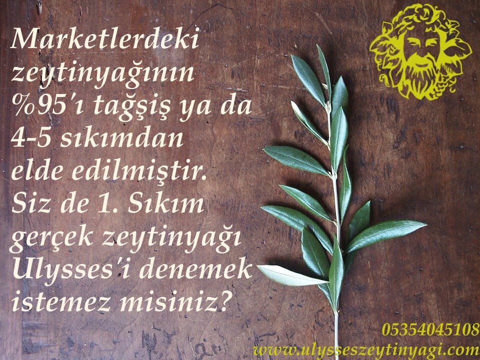 ulysseszeytin's tweet photo. Bu twiti RT eden bir kişiye 2 litre zeytinyağı hediye edeceğiz. Çekiliş tarihi: 1 Mart 🎁 https://t.co/2QJOY9n3gW